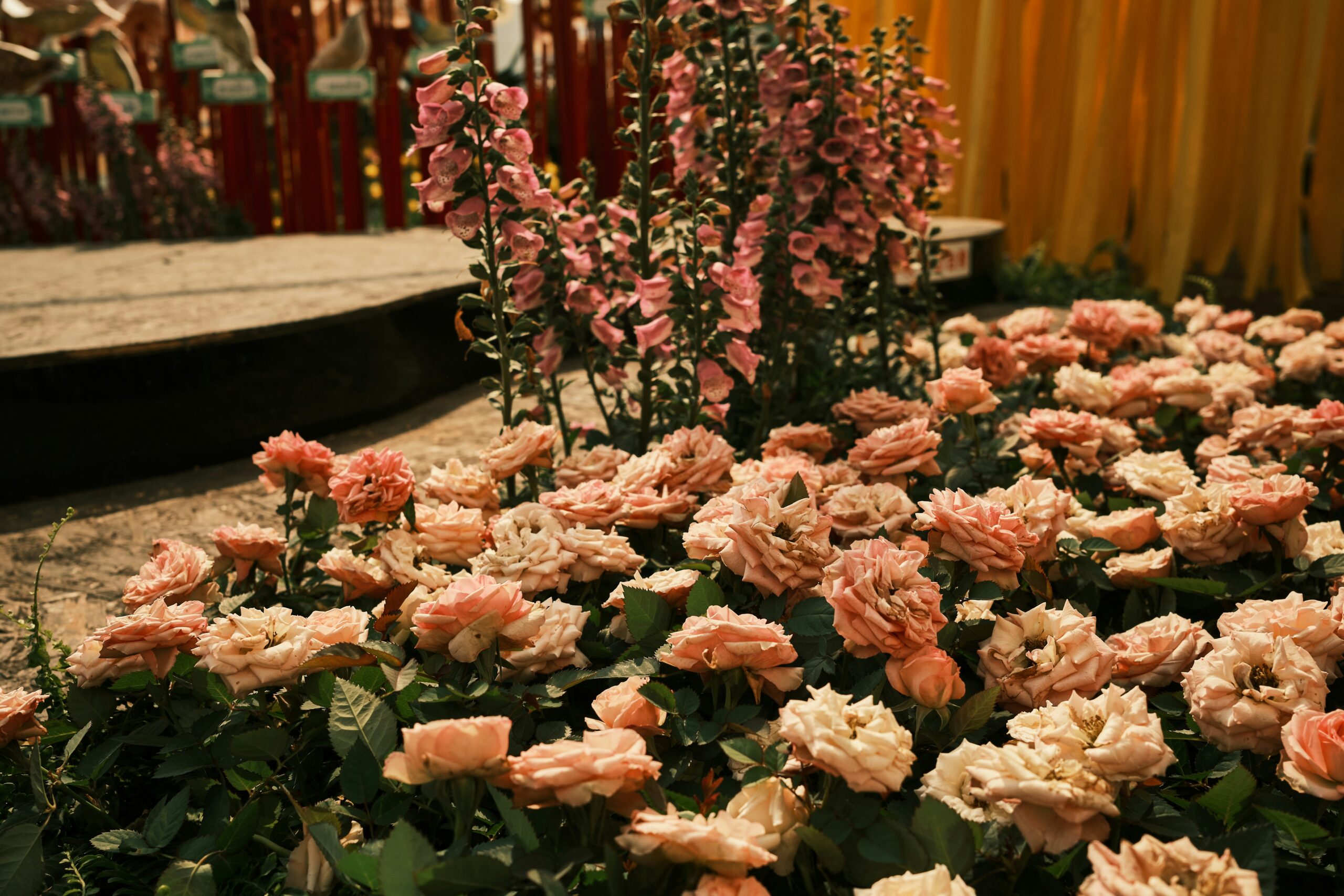 Creating Sculptural Floral Arrangements That Transform Your Home
