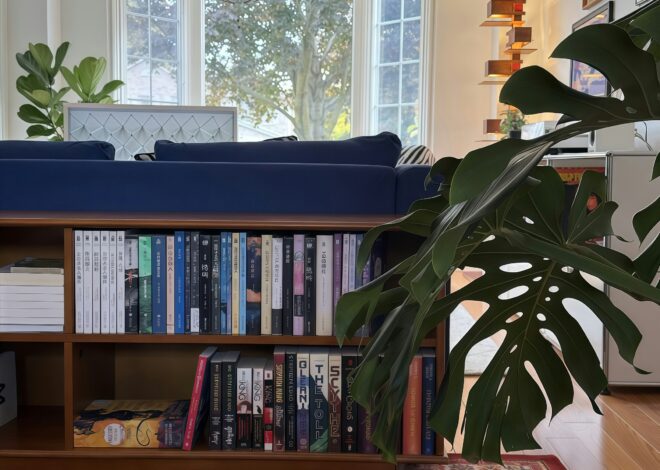 The Library Nook: Creating a Dedicated Space for Slow Living and Physical Books